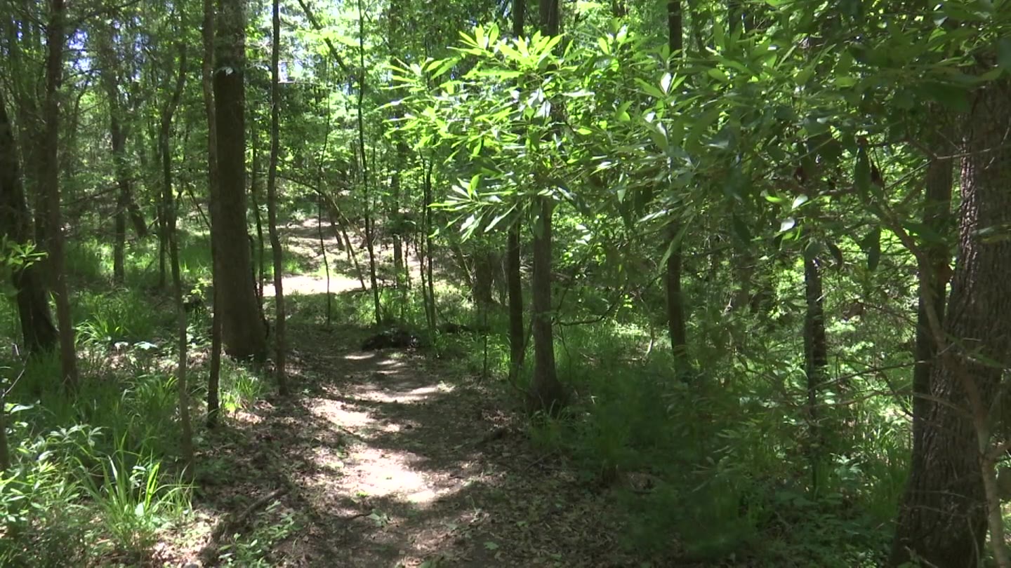 Some concerned Berkeley County nature trail could become cemetery ...