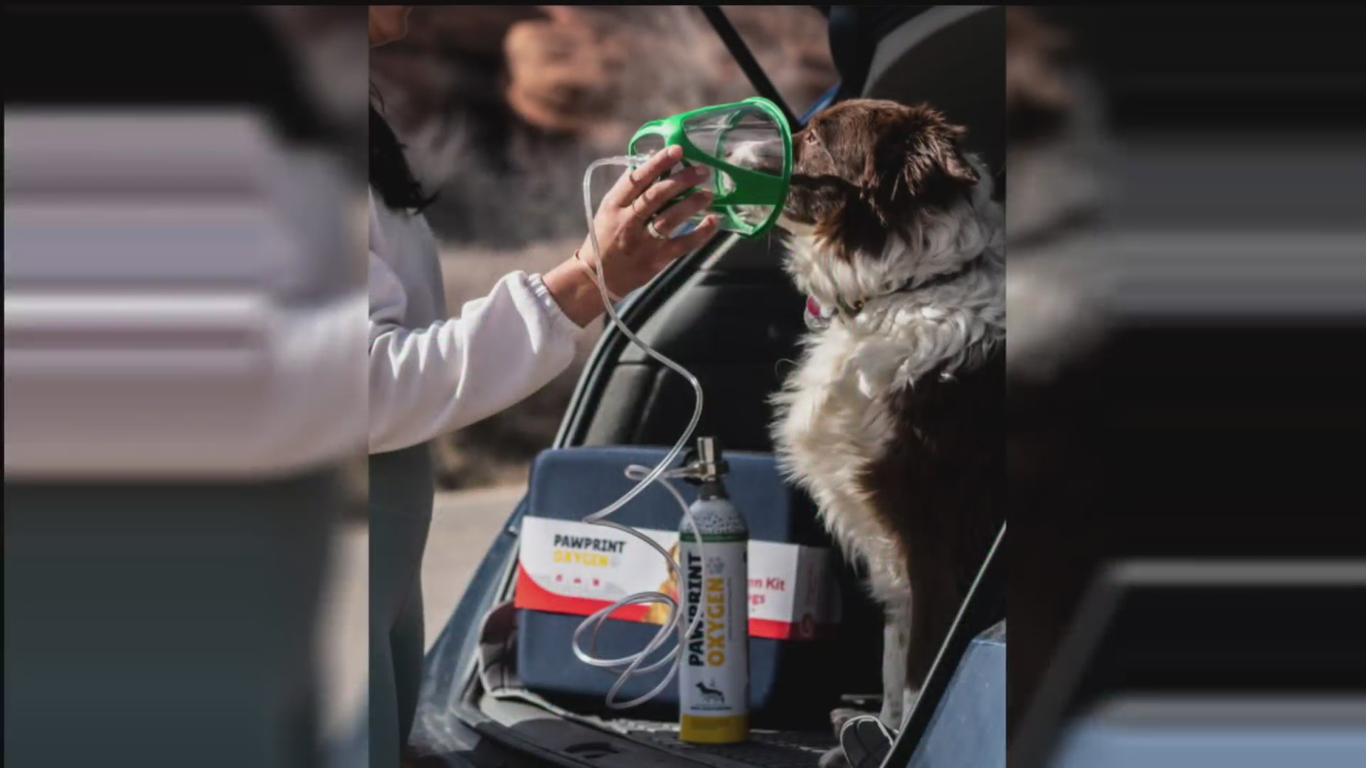 Paw Print Pet Oxygen FOX31 Denver