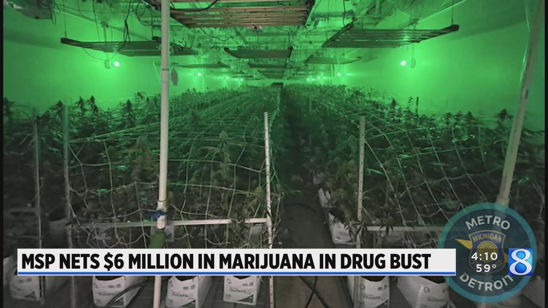 MSP nets $6 million in marijuana in grow operation bust – WOODTV.com