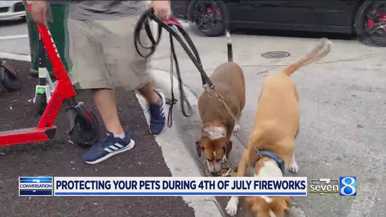 Tips to protect your pets during Fourth of July fireworks – WOODTV.com
