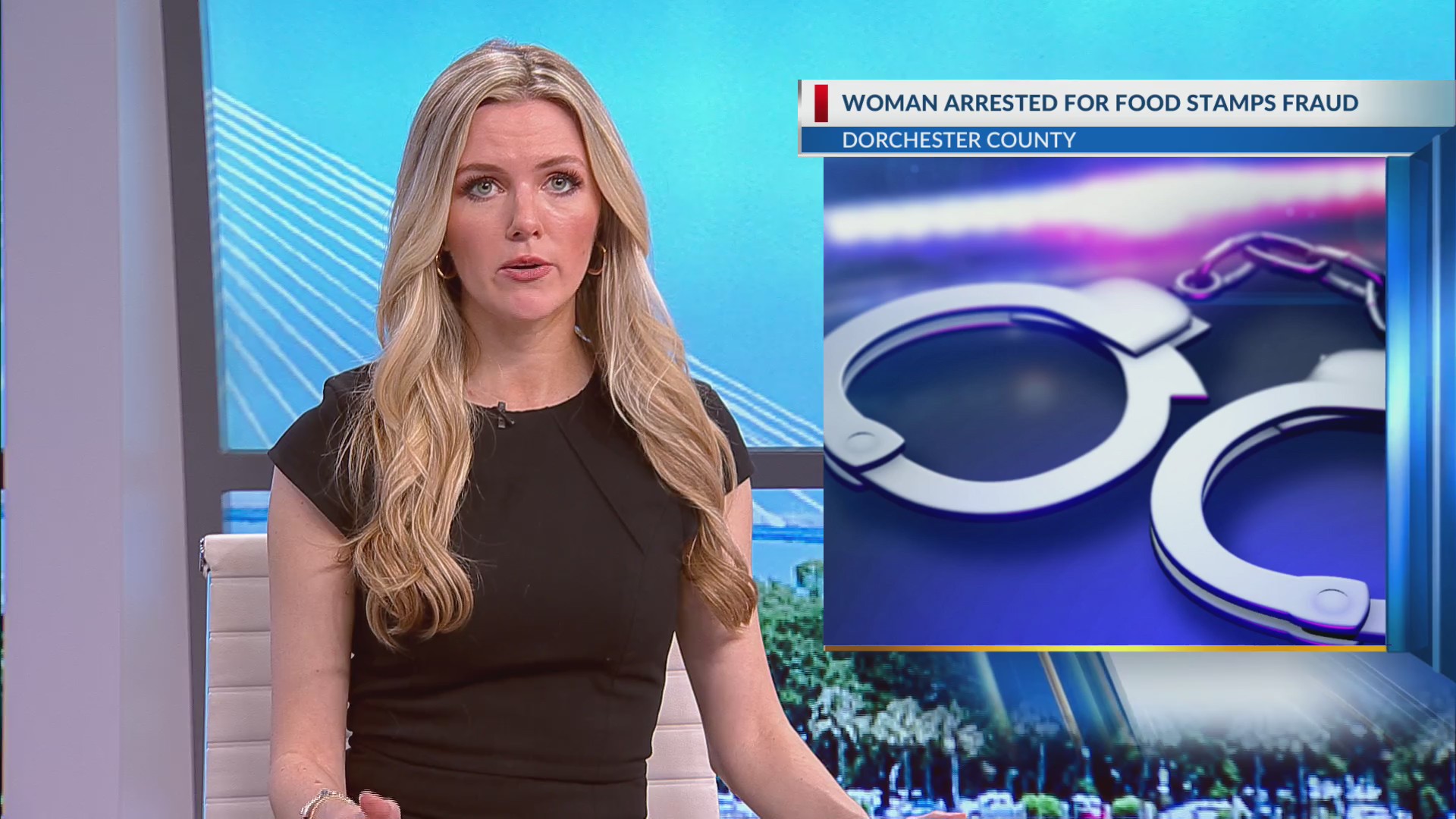 Dorchester County woman charged for food stamp fraud – WCBD News 2