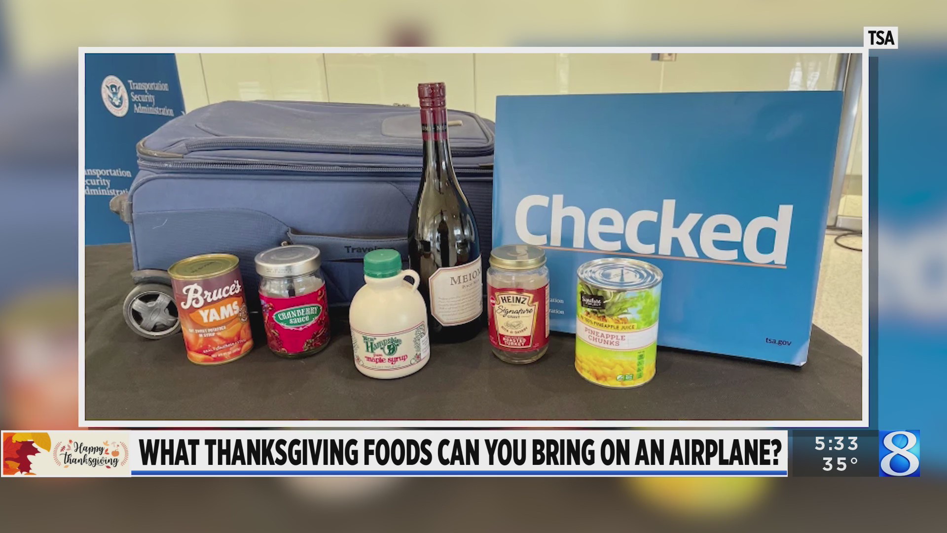 TSA shares what Thanksgiving foods can you bring on the the airplane