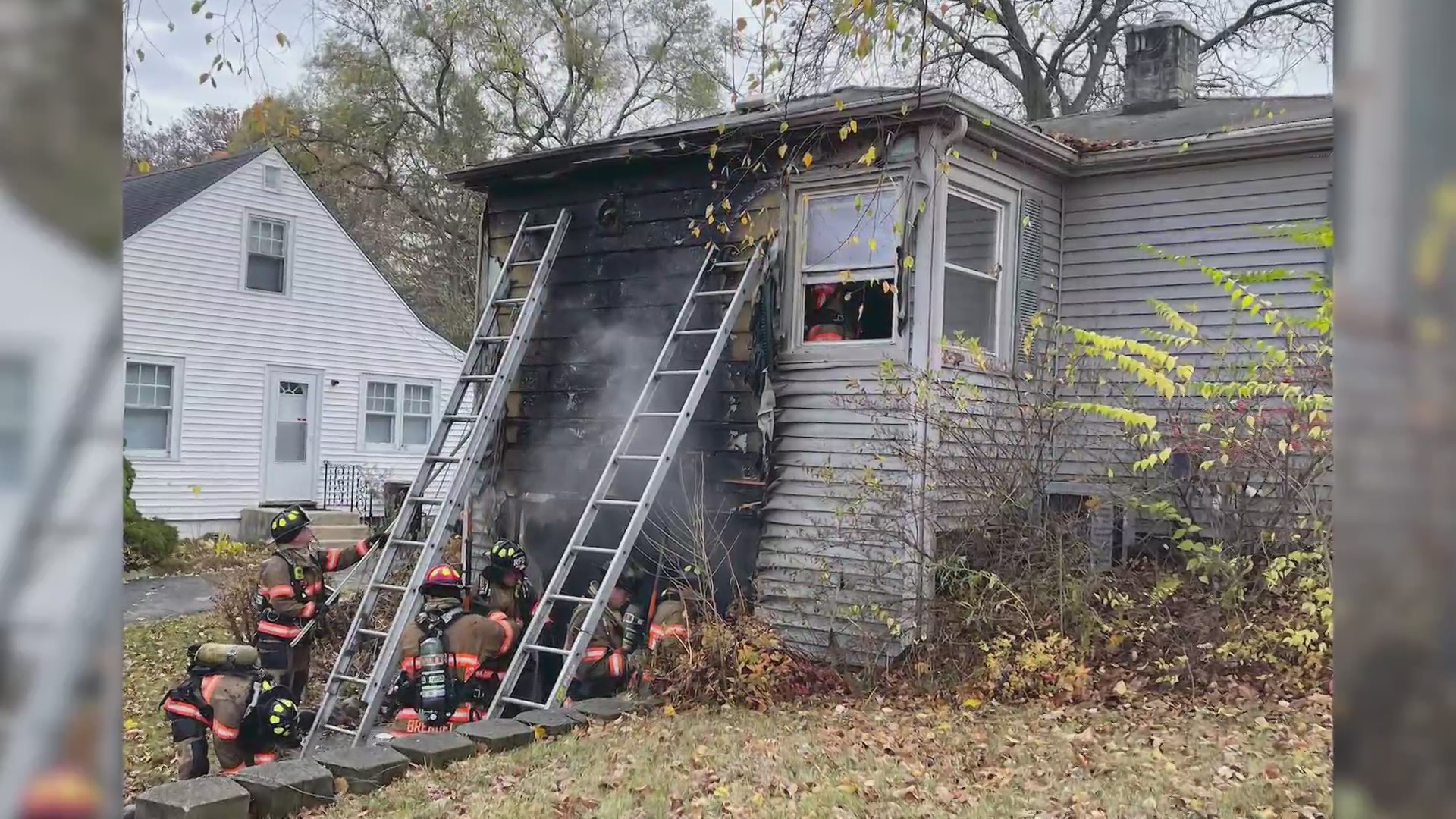 Residents, cats left without a home after Rockford fire – MyStateline ...