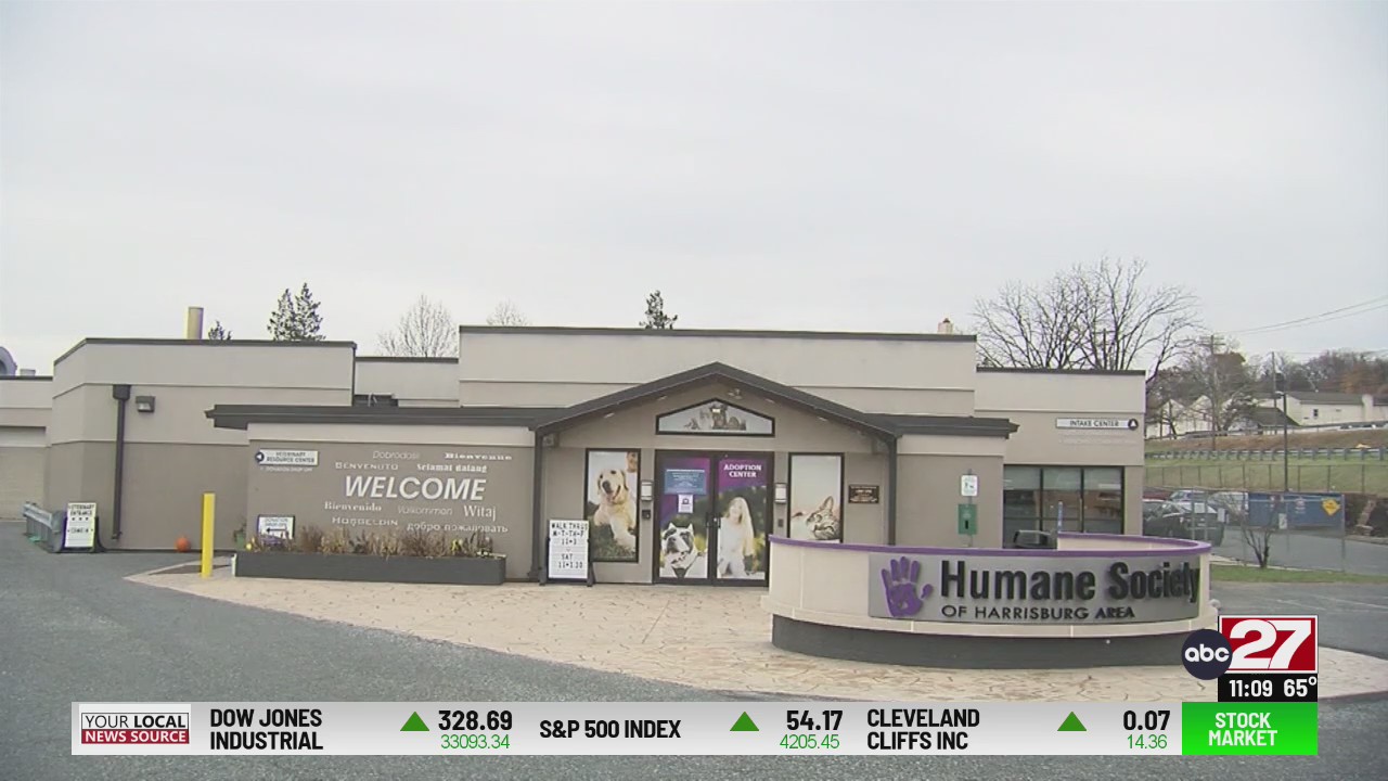 Humane Society of Harrisburg Area penalized for bookkeeping methods