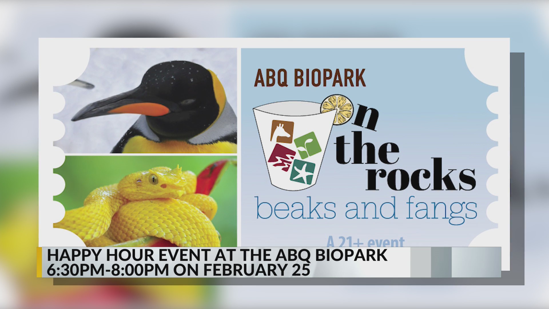 Albuquerque BioPark Zoo hosting adults only happy hour – KRQE NEWS 13 ...