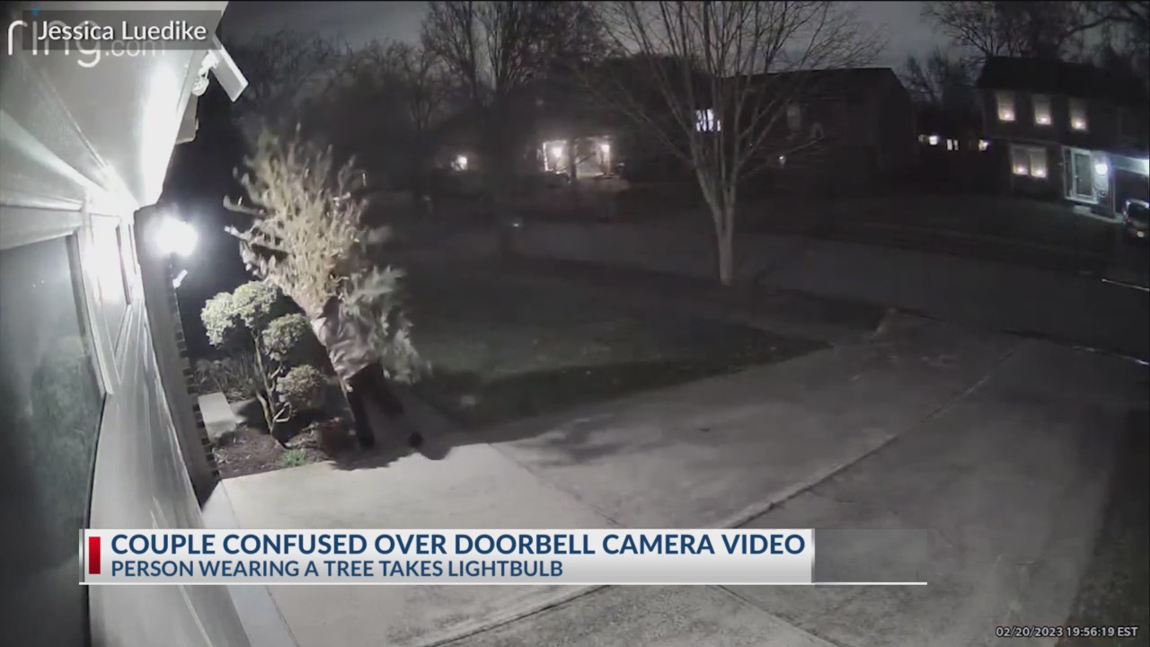 Ohio doorbell camera spots entire tree, lightbulb stolen NBC4 WCMHTV