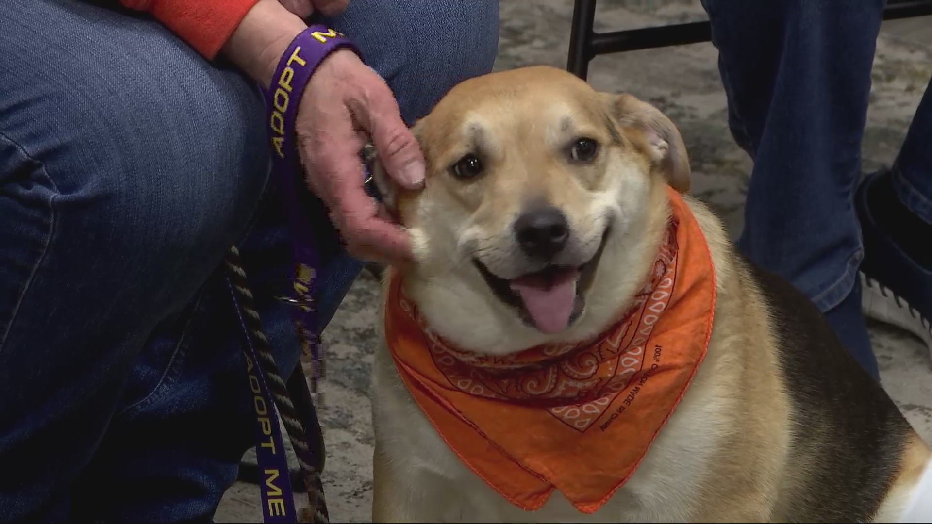 Moore’s Rescue Ranch – WCIA.com