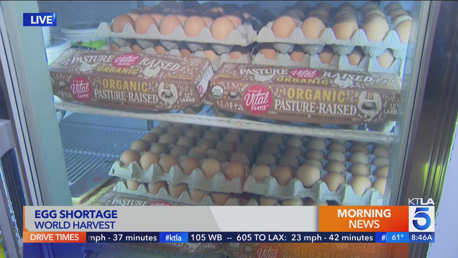 World Harvest Food Bank KTLA