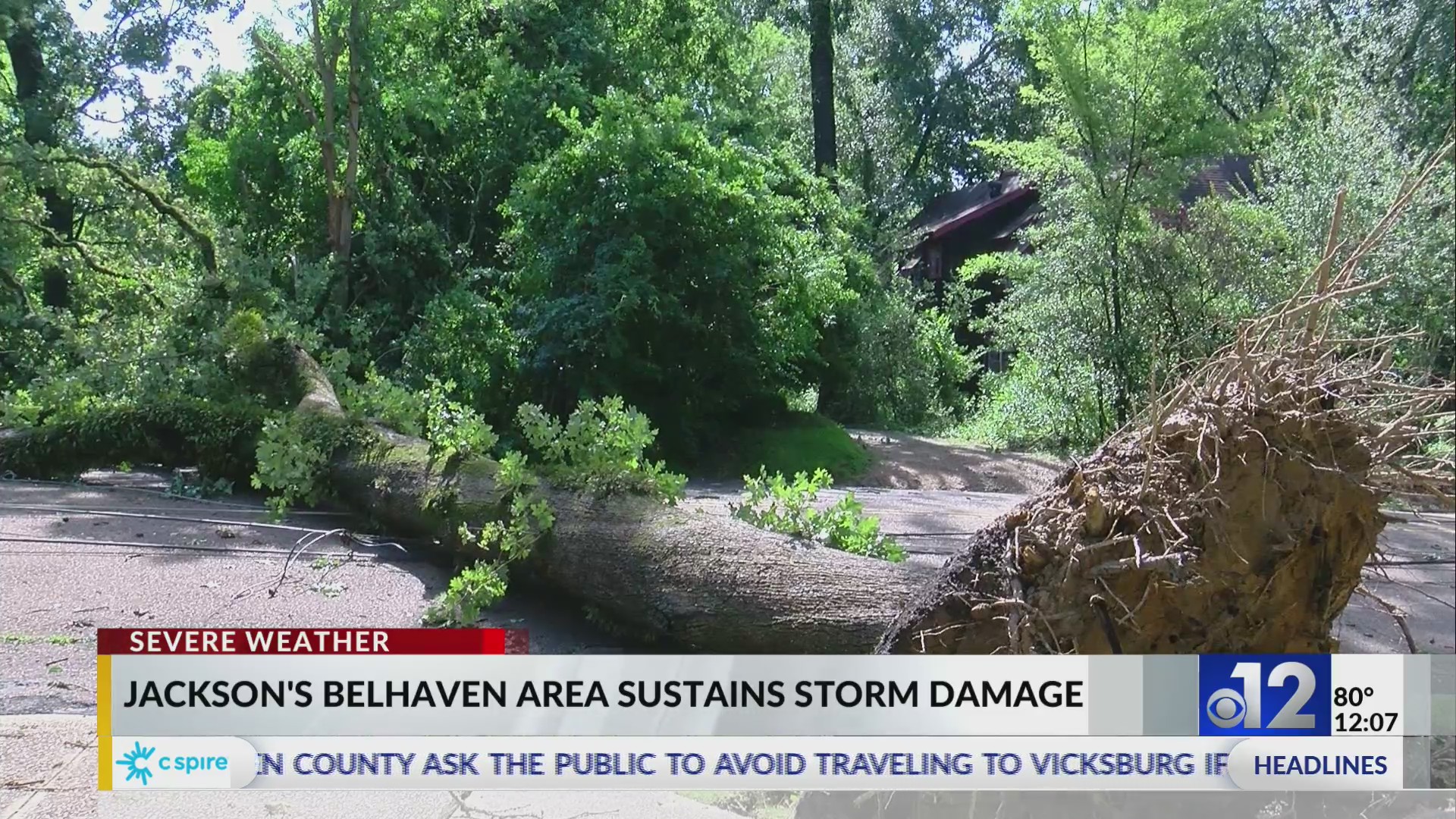 Belhaven neighborhood sees damage from severe storm WJTV