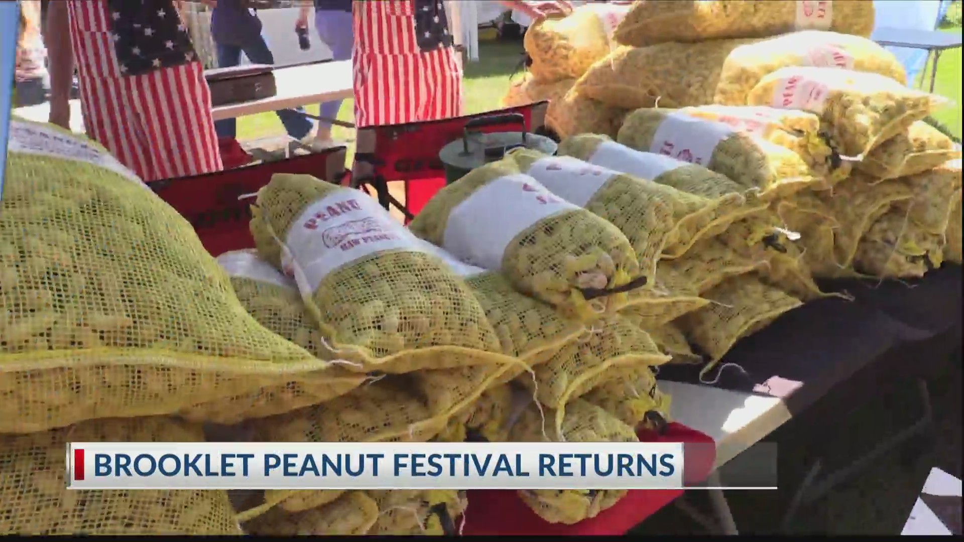 Brooklet Peanut Festival WSAVTV