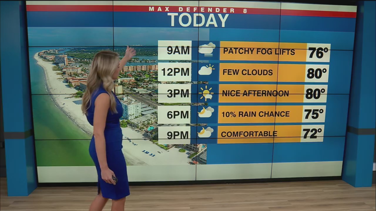 Mild with a few showers this weekend – WFLA