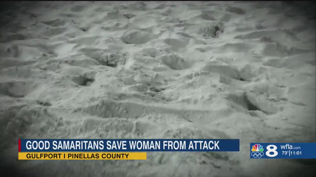 Good Samaritans jump in to help woman being attacked – WFLA