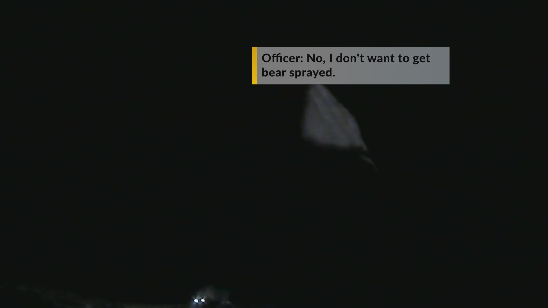 Video New Mexico State Police officer sprayed with bear mace on Route