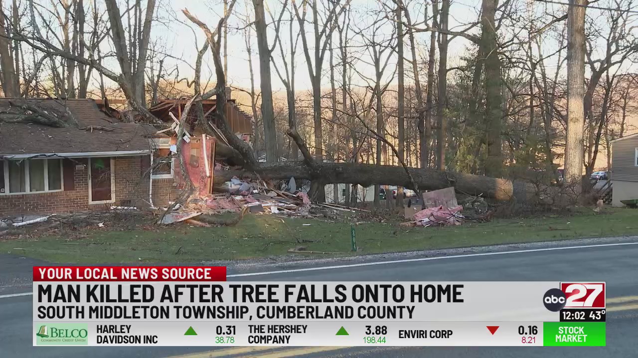Man killed after tree falls onto home – 28/22 News