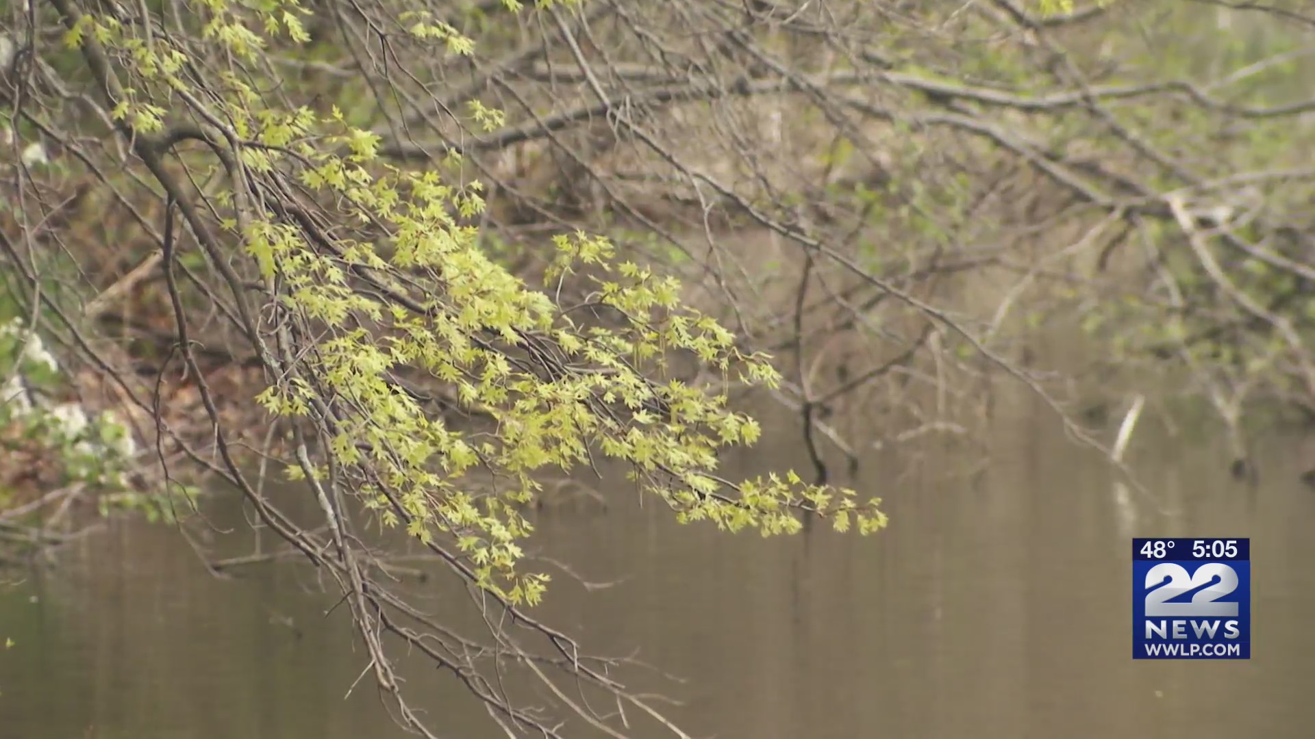 Rain makes allergy symptoms worse WWLP