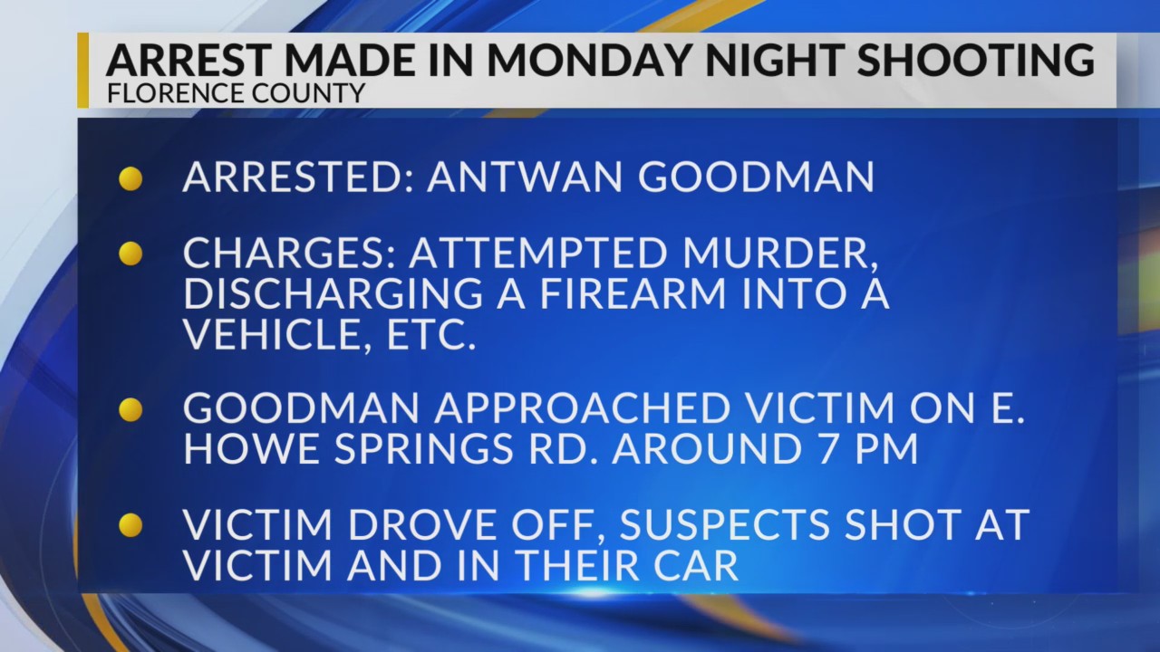 Man charged with attempted murder after allegedly shooting into ...