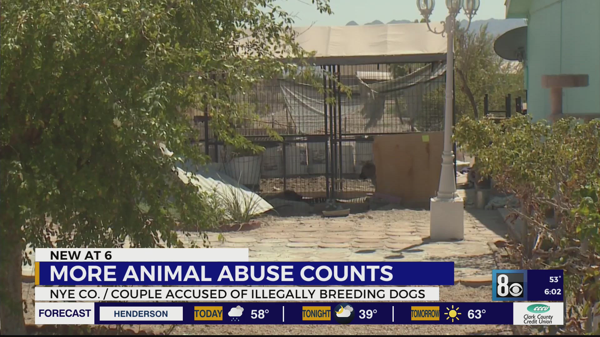 Nye County couple accused of illegally breeding dogs receives more