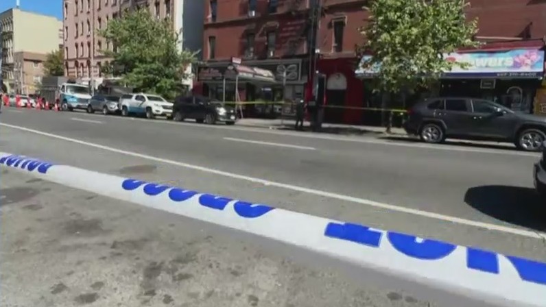 Arrest made in death of Bronx grandmother: sources – PIX11