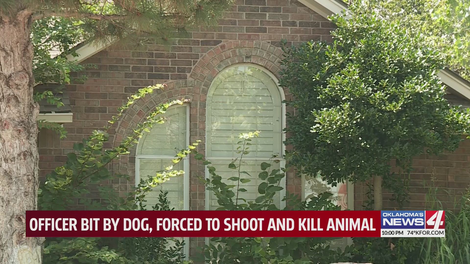 Dog shot and killed by Police after attacking Officers responding to ...