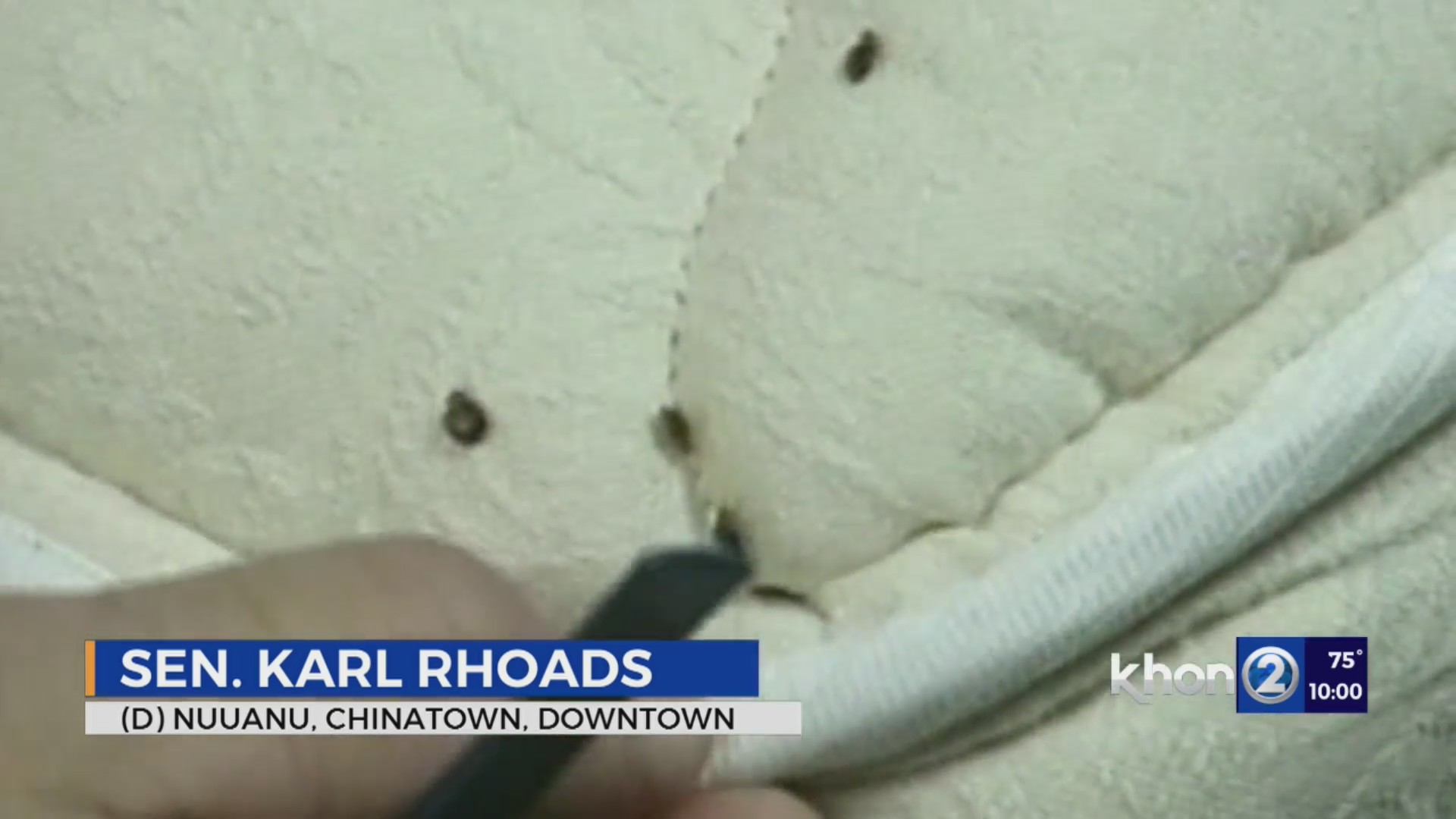 Bed bugs bill prevents landlords from renting infested units KHON2