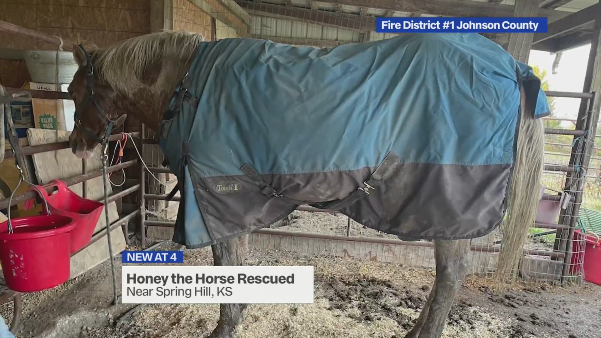 Horse rescued after being stuck in mud – FOX 4 Kansas City WDAF-TV ...