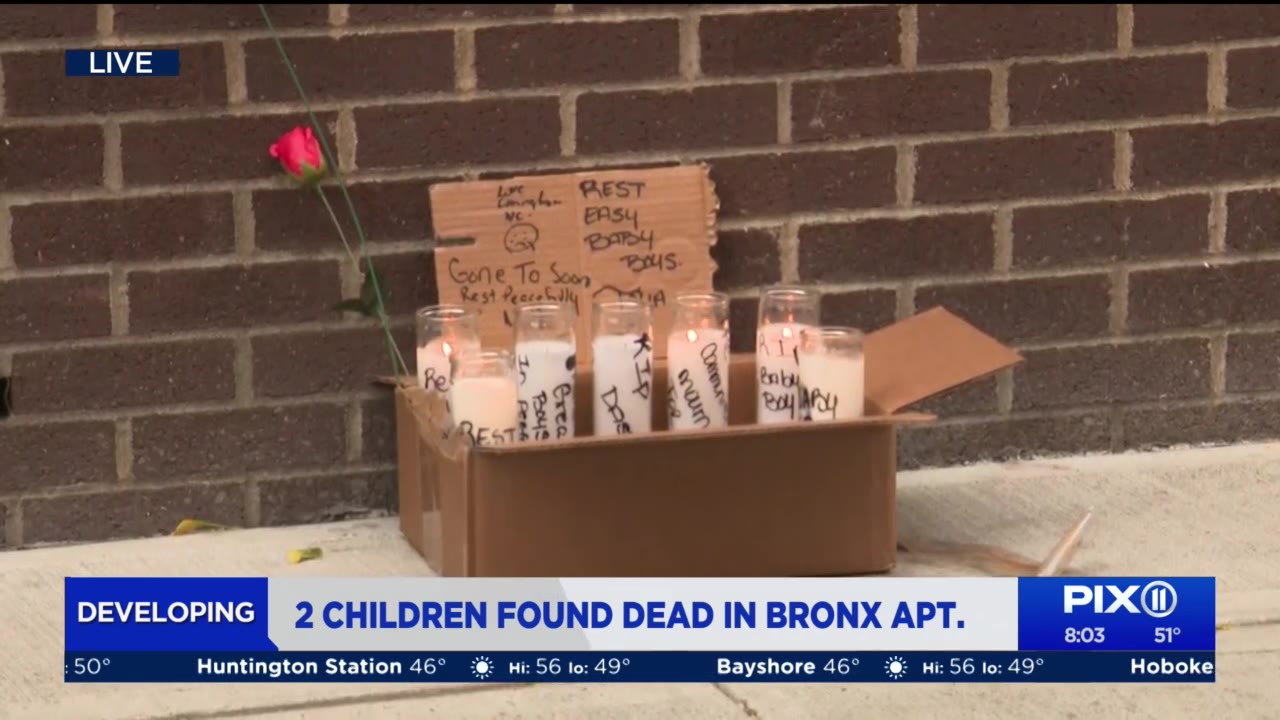 Two Bronx boys fatally stabbed; mother in custody – PIX11