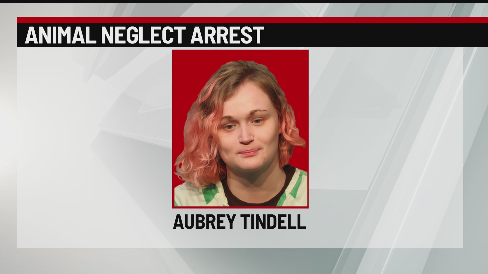 Woman charged with animal neglect after death of dog – who13.com