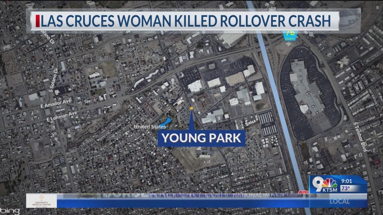 LCPD: Woman killed in rollover crash, teen driver facing multiple ...