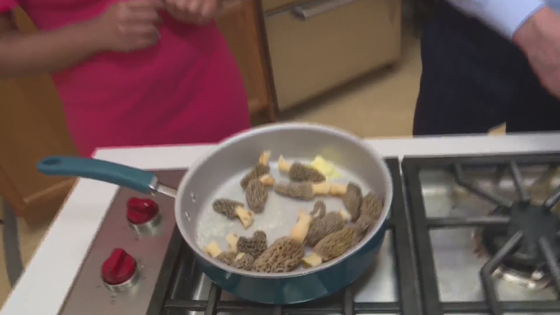 Belleville is a great place to go morel mushroom hunting FOX 2