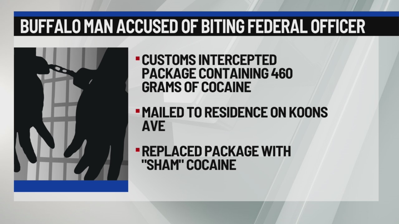 Buffalo man accused of biting federal officer during search warrant ...