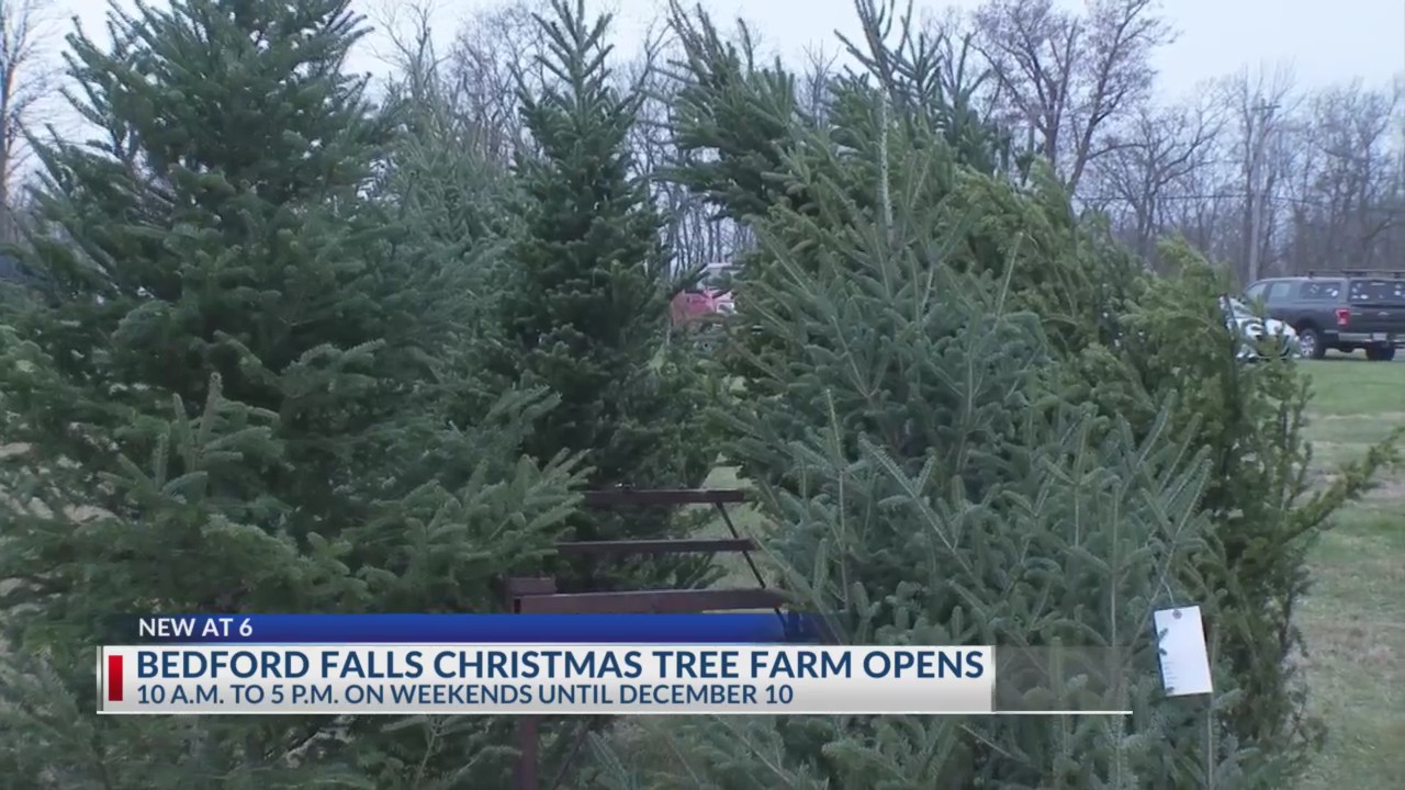Central Ohio tree farm takes theme from holiday classic NBC4 WCMHTV
