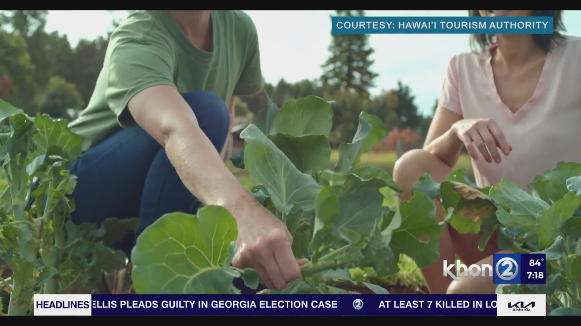 CNHA launches the Umeke program: How to apply – KHON2