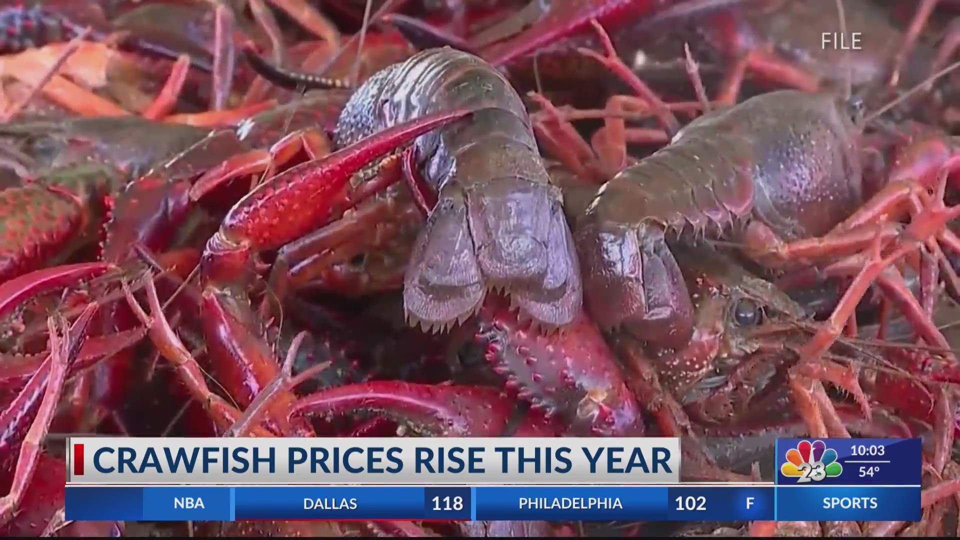 Crawfish prices rise KVEOTV