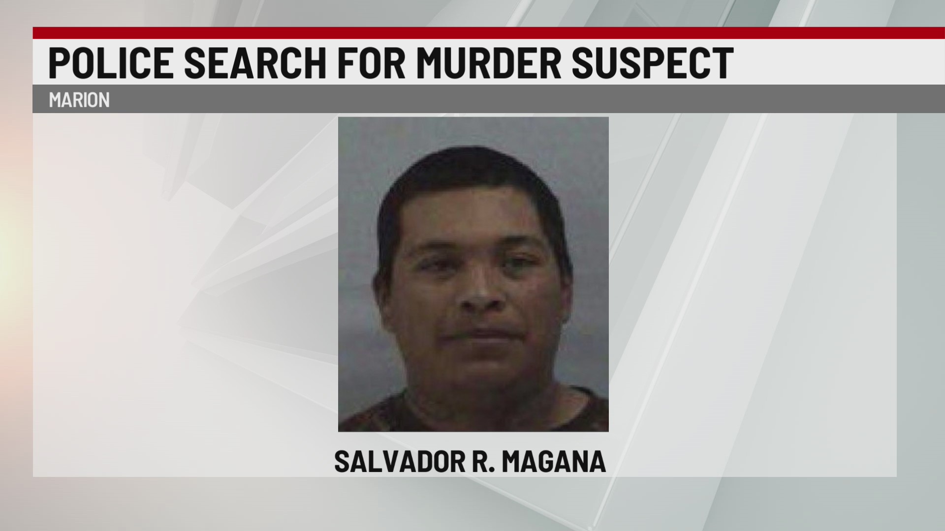 Police Search for Murder Suspect – WSPA 7NEWS