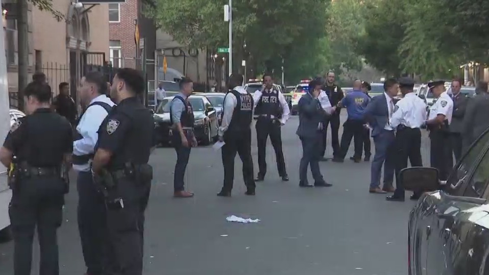 8-year-old shot in the Bronx, 2 men in custody: NYPD – PIX11