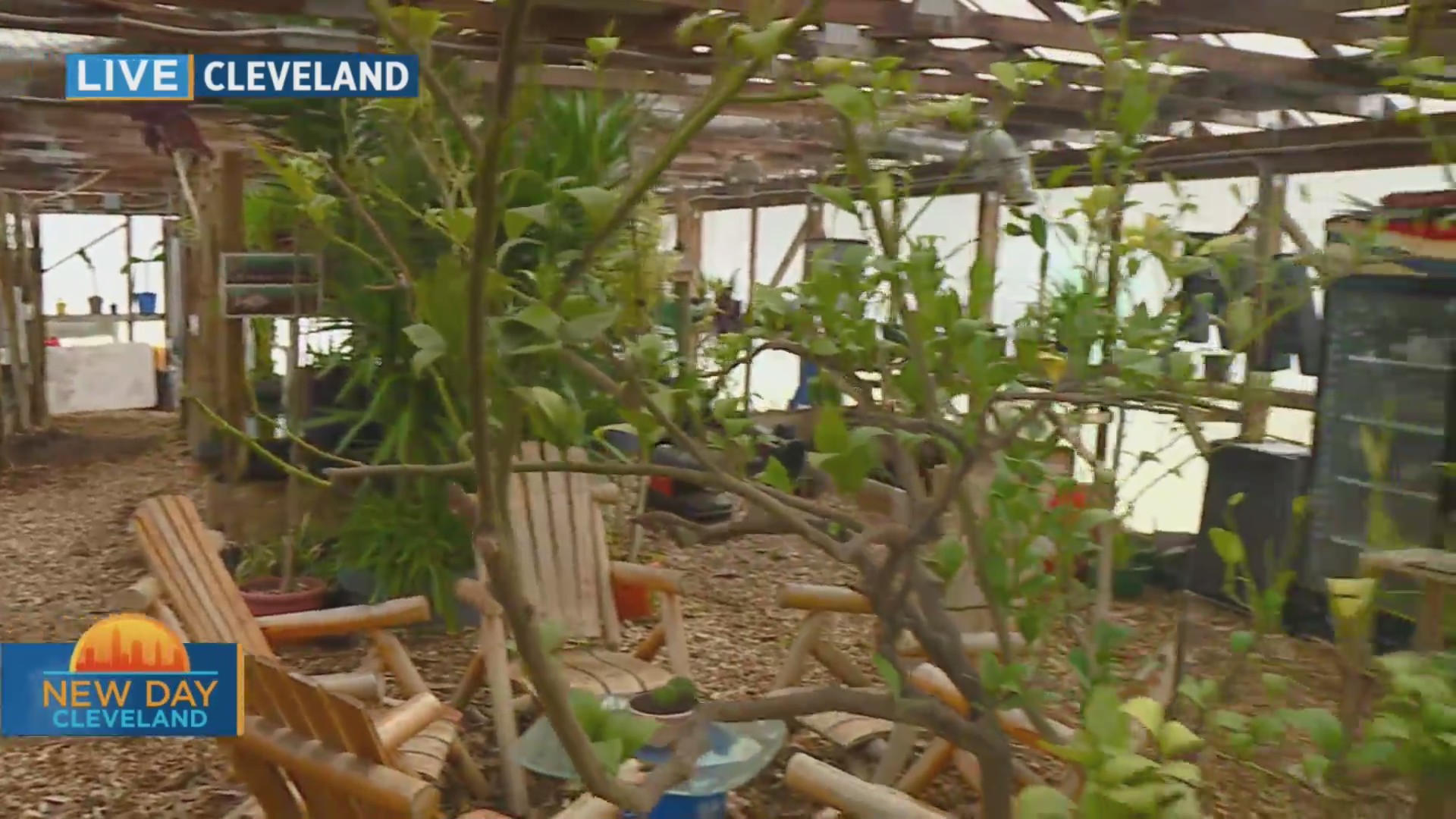 New Day Cleveland: Rid All Farmers Market – Fox 8 Cleveland WJW