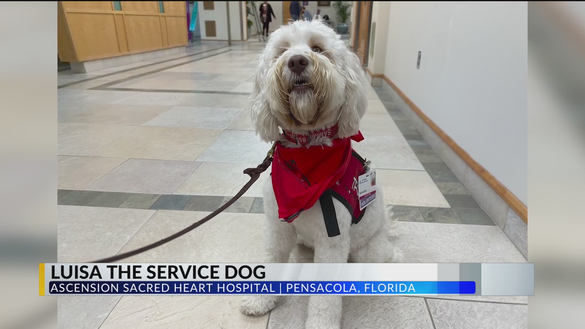Ascension Sacred Heart Hospital gets new service dog – WKRG News 5
