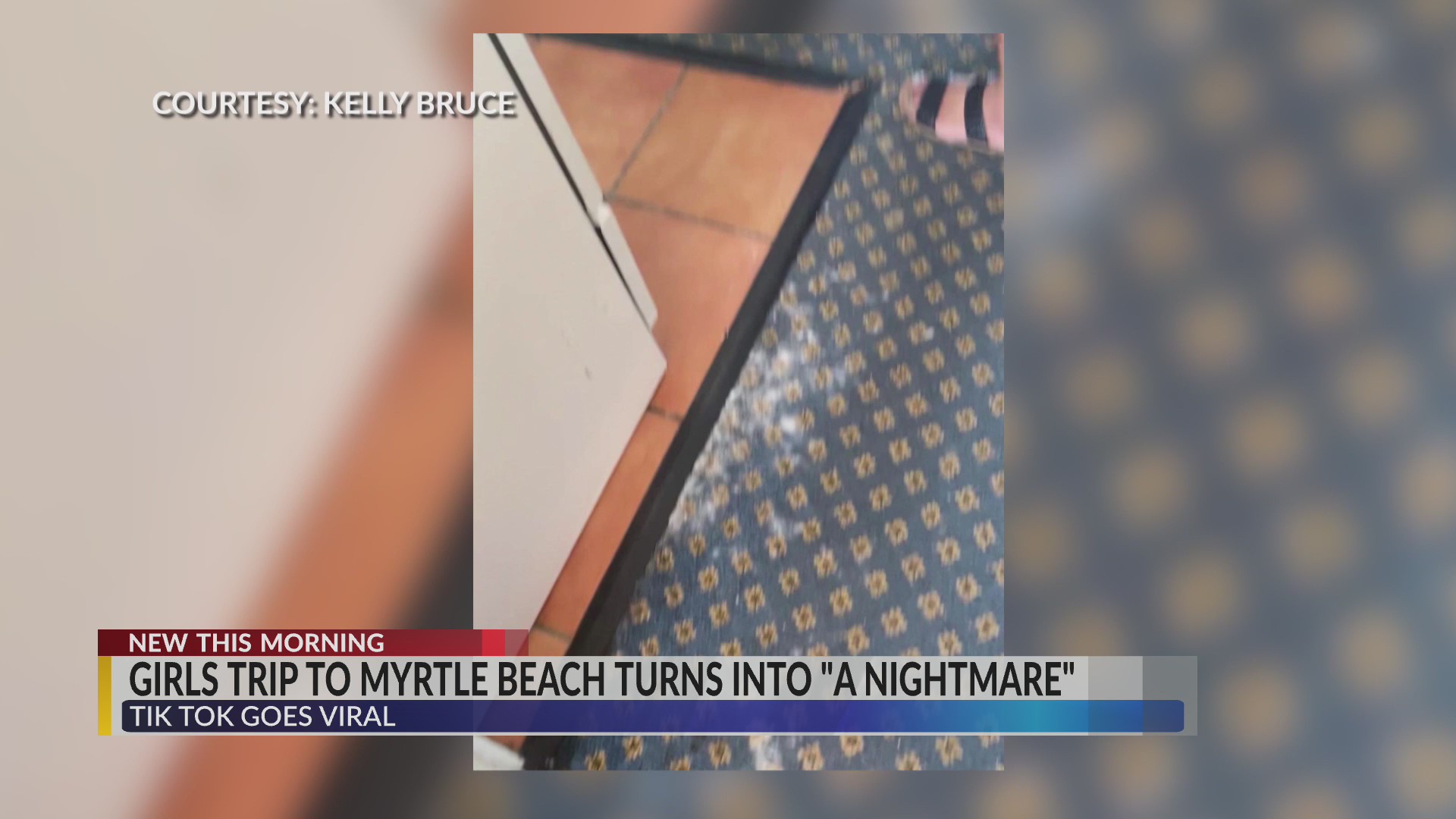‘We were traumatized’ Viral TikTok shows Myrtle Beach hotel’s(02)
