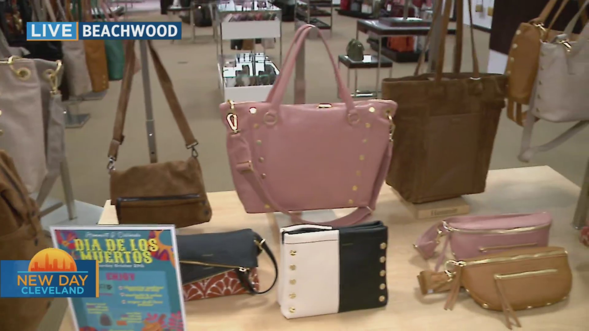 New Day Cleveland Dillards Fox 8 Cleveland WJW