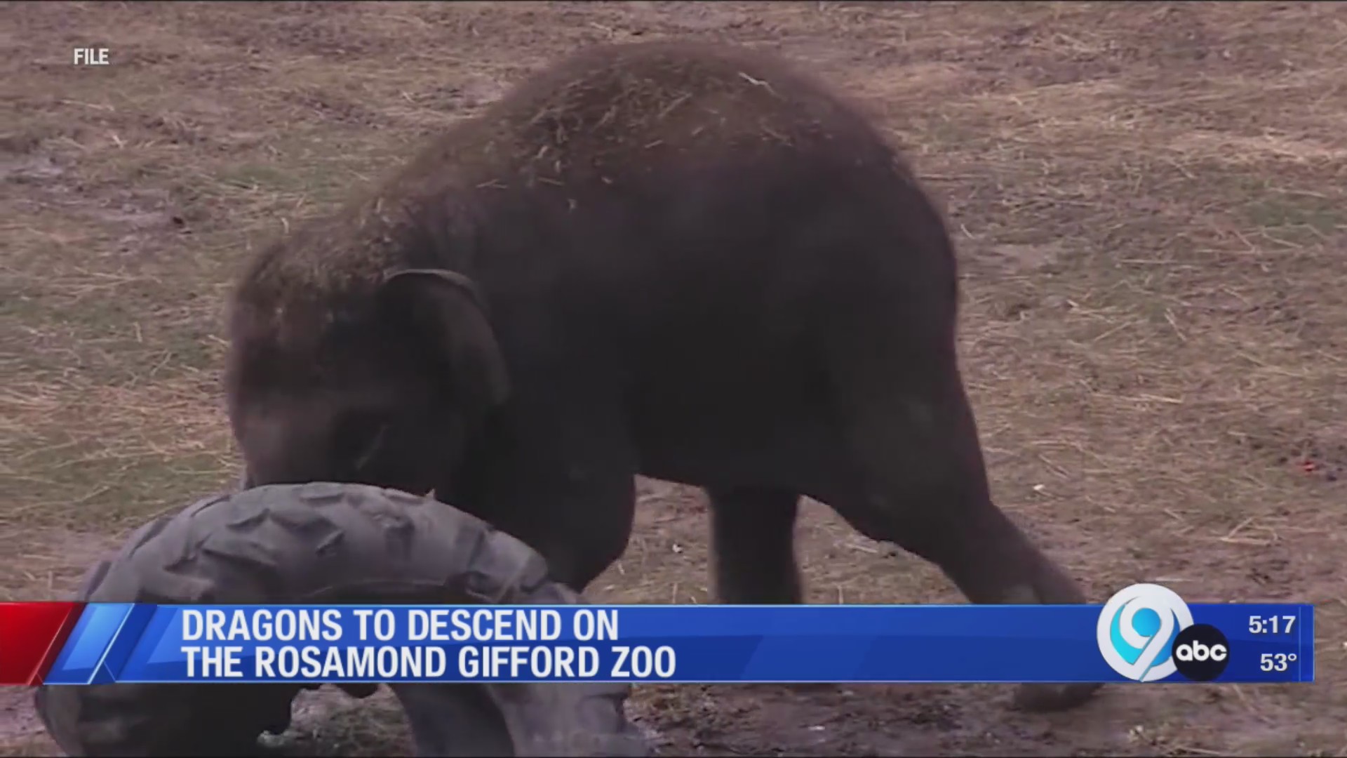 Animatronic dragons coming to Rosamon Gifford Zoo in 2024 WSYR