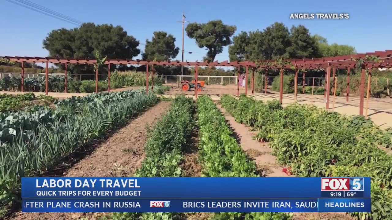 Labor Day Travel – FOX 5 San Diego & KUSI News