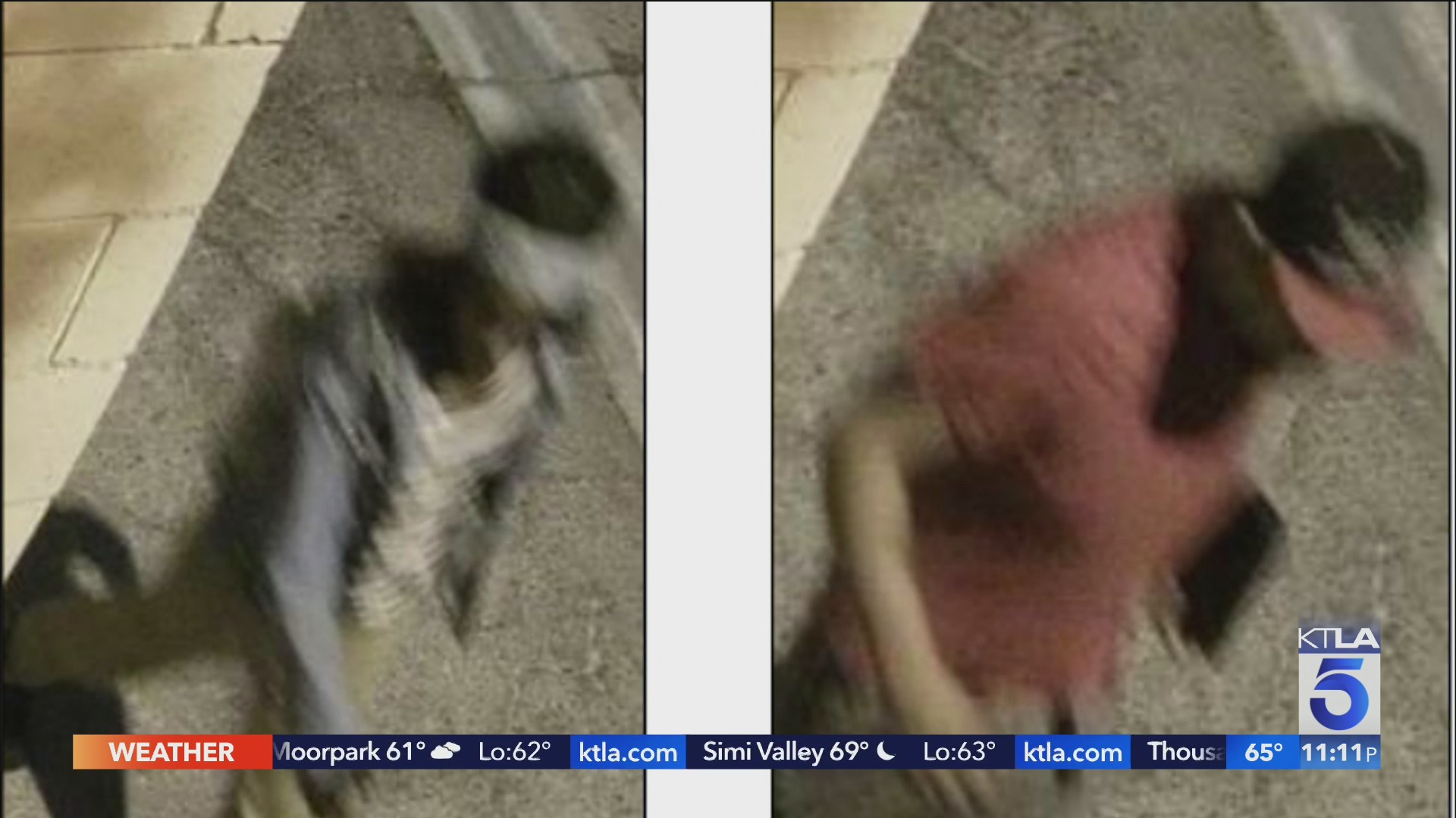 Police seek 2 men in Arleta hit-and-run – KTLA