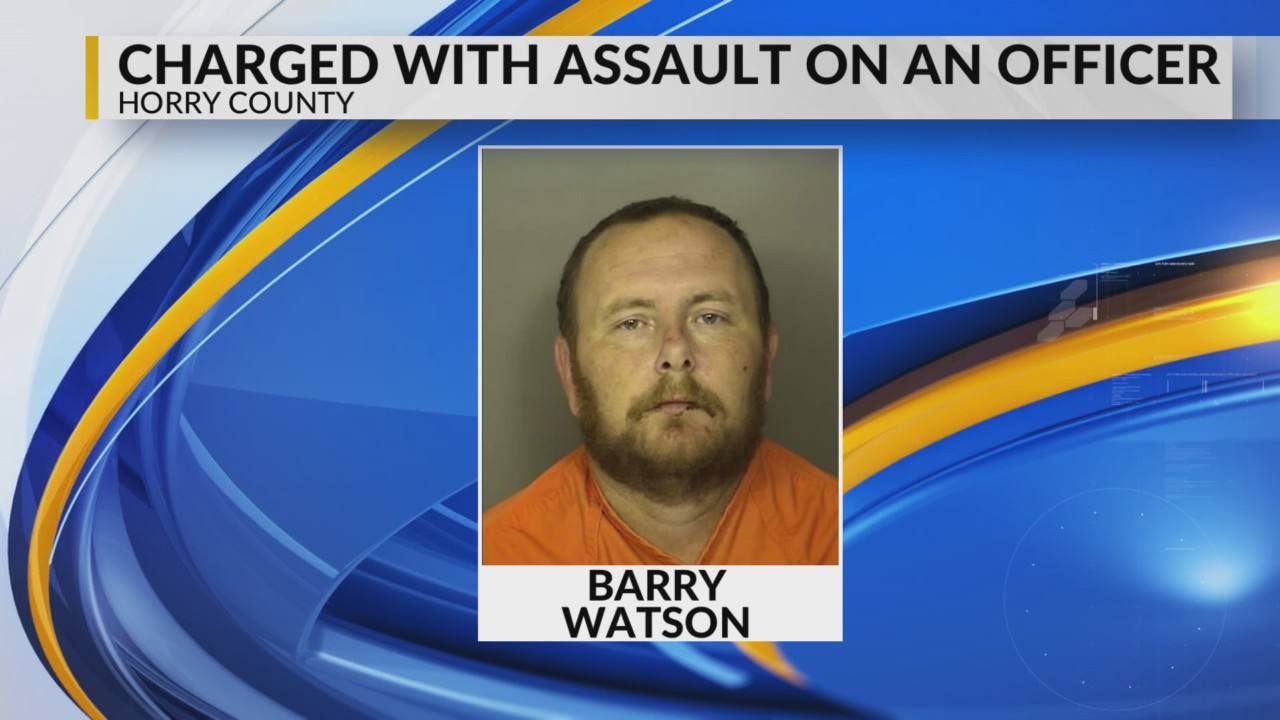 Man accused of assaulting Horry County police officer – WBTW