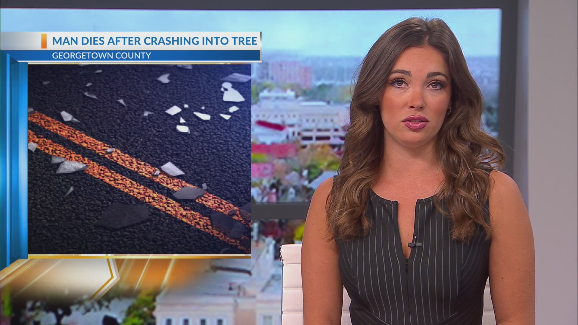 Man, 80, dies after crashing into fallen tree in Hemingway – WCBD News 2