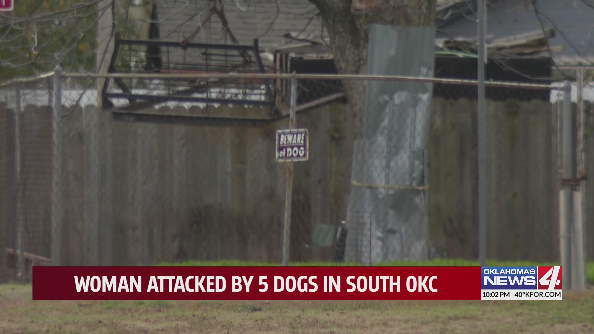 Woman attacked by five dogs in south OKC – KFOR.com Oklahoma City