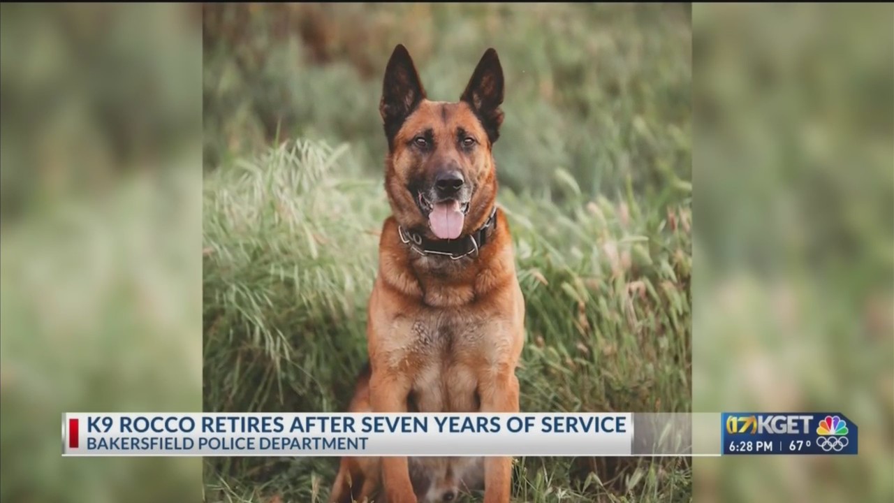 K-9 Rocco retires from Bakersfield PD – KGET 17 News
