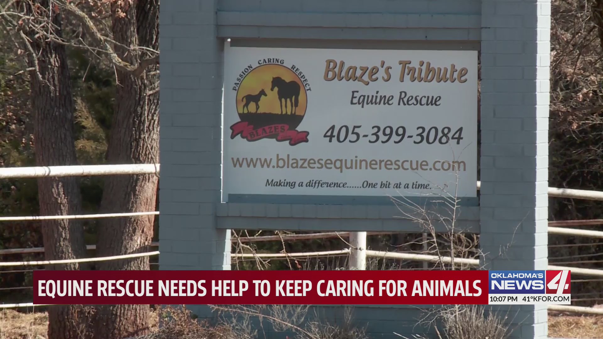 Oklahoma Rescue Equine rescue needs help to keep caring for animals – KFOR.com Oklahoma ...