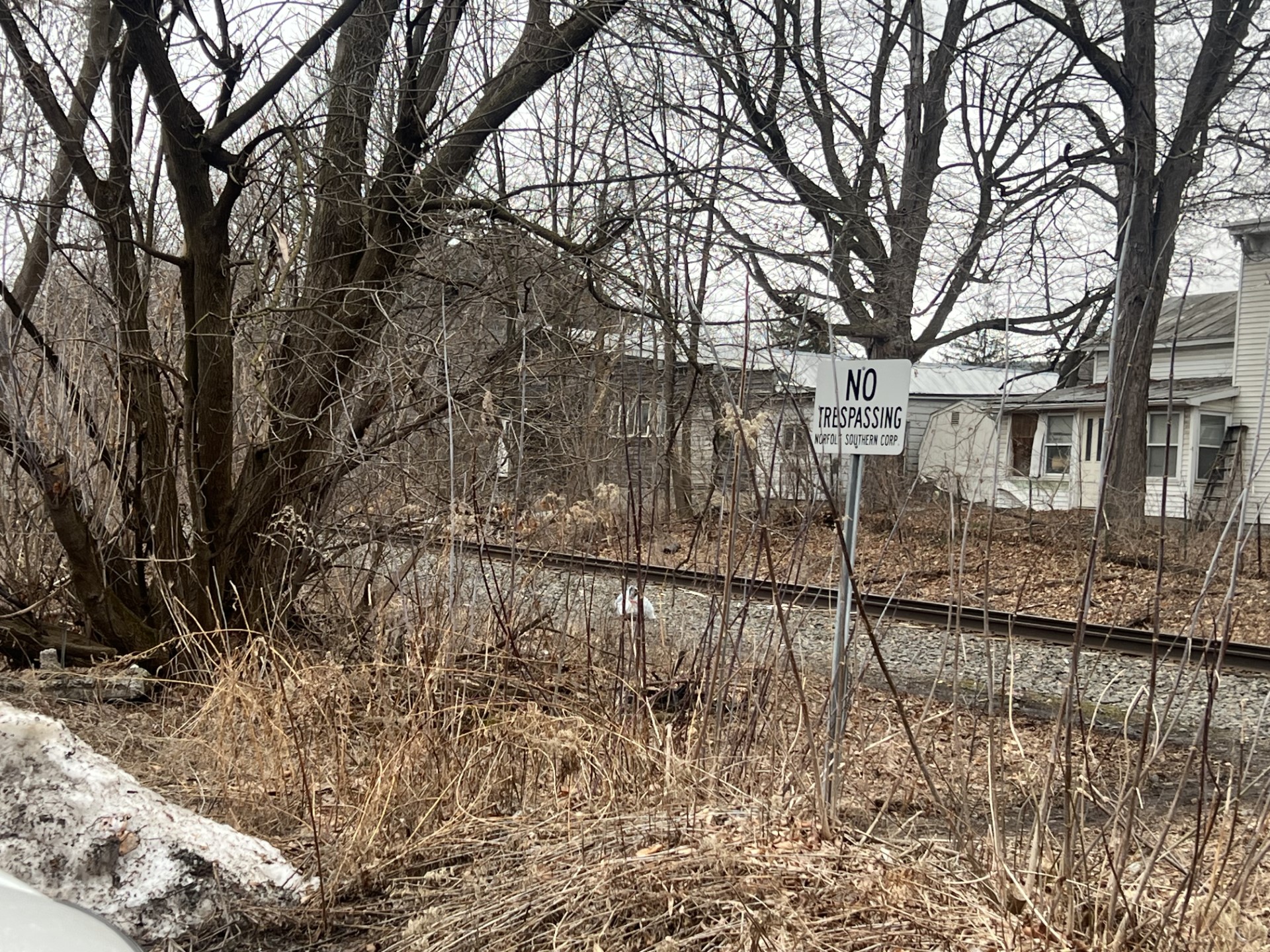 NYS Police investigating fatal train accident in Cobleskill – NEWS10 ABC