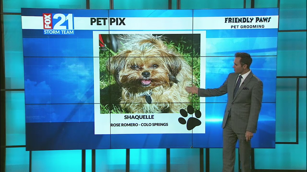 Pet Pix October, 12 2023 – FOX21 News Colorado