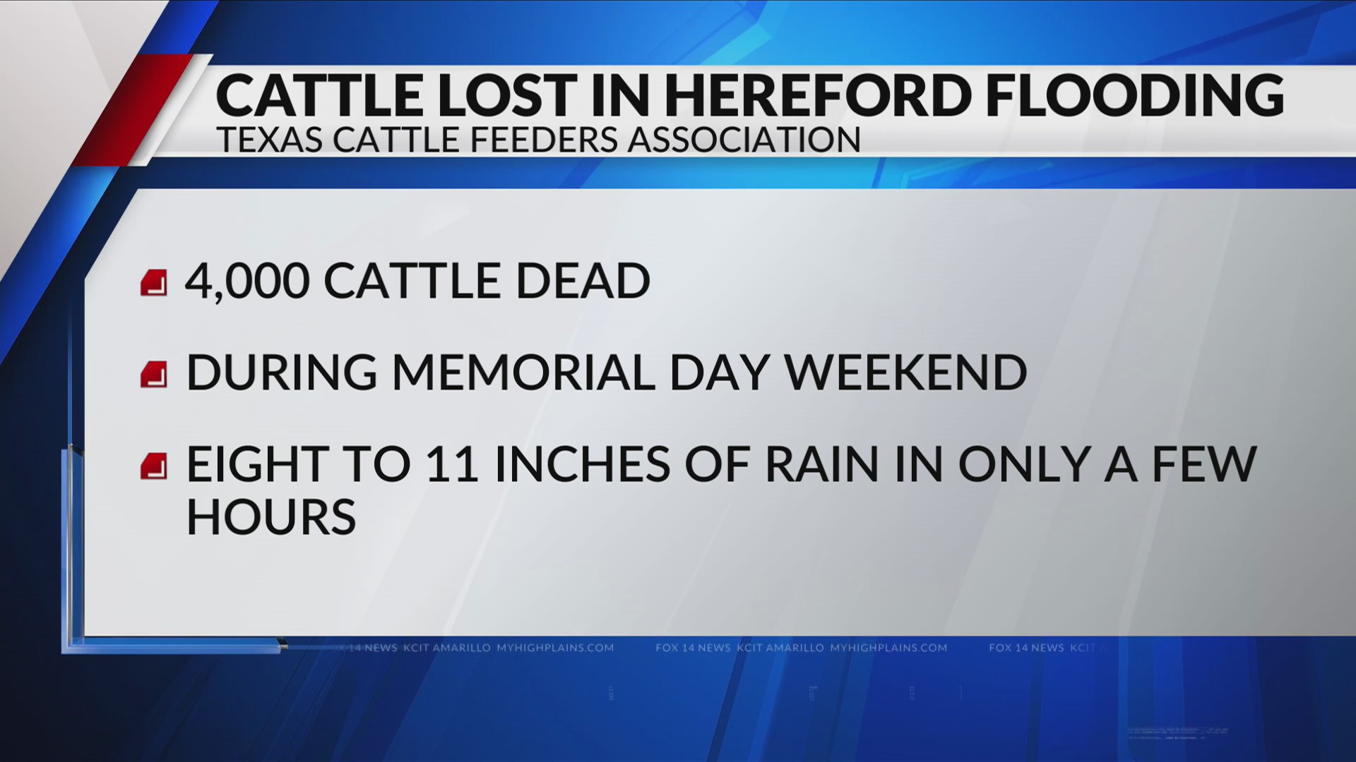 Texas Cattle Feeders Association reports 4,000 cattle dead due to